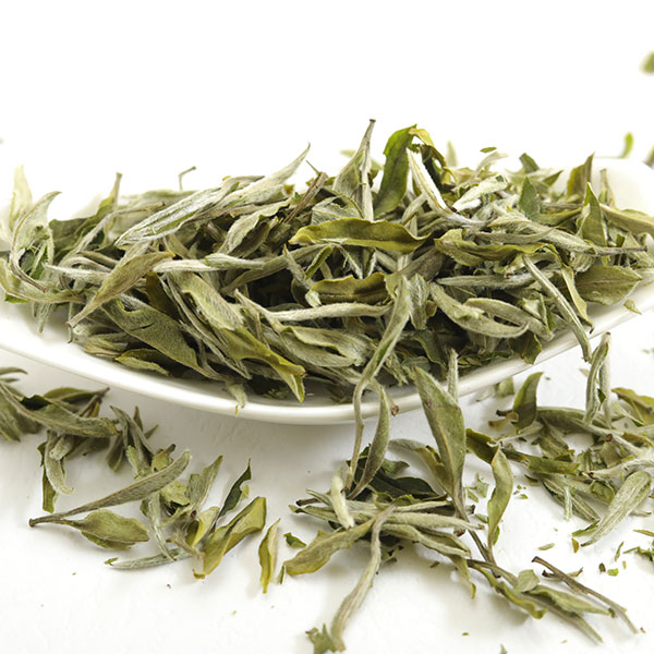 Darjeeling Elegant Moonshine